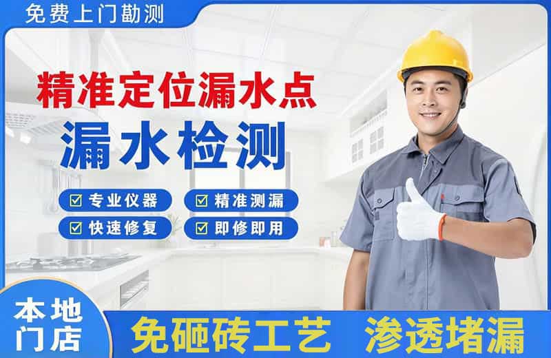 巴楚精准测漏点